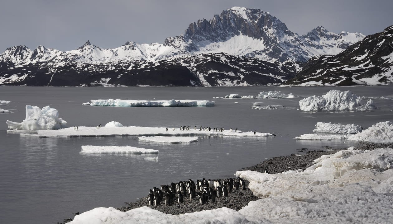 glaciar en el océano antártico