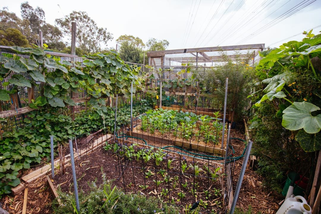 jardineria urbana