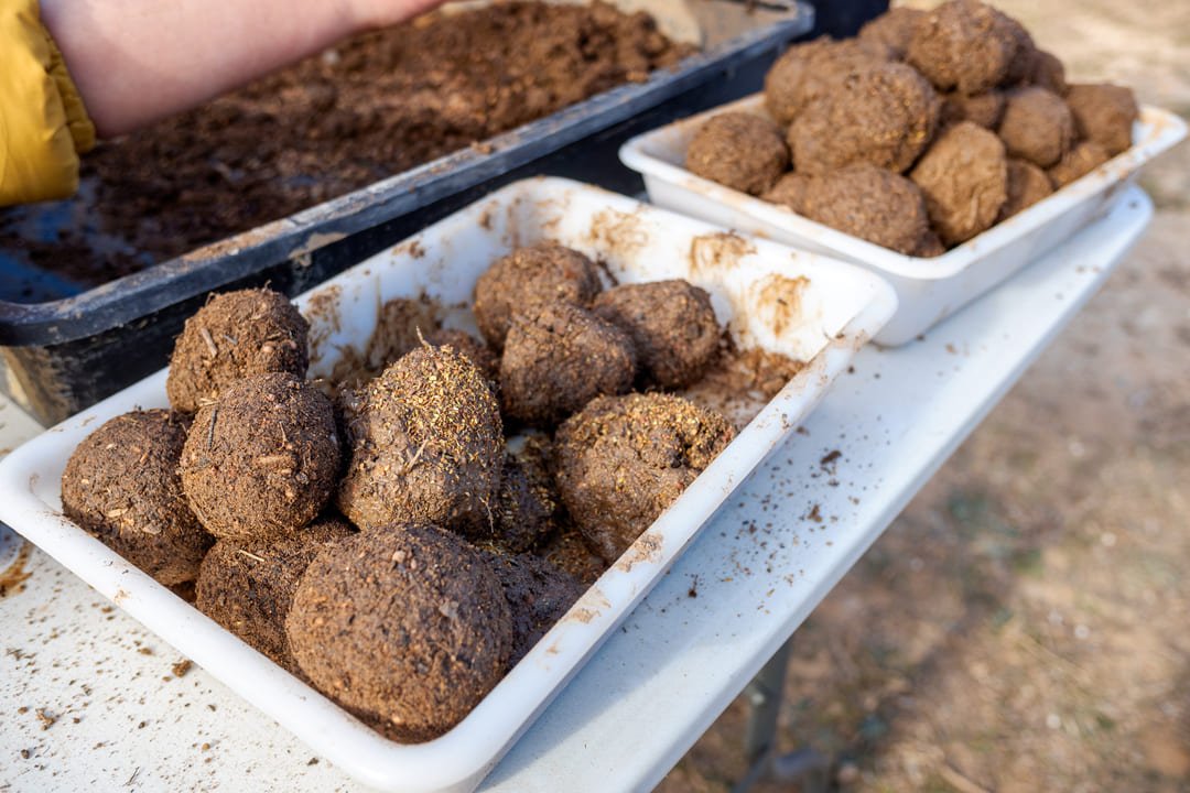 bombas de semillas caseras