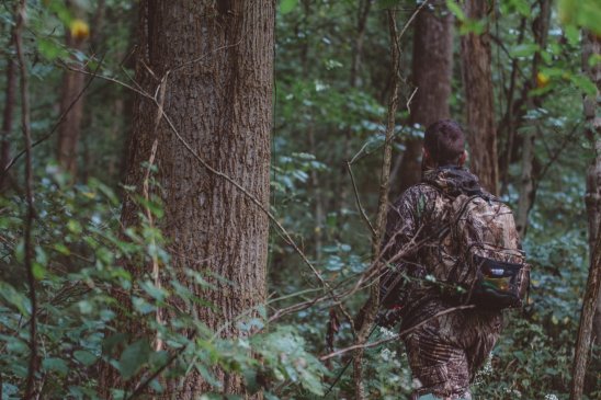 La caza furtiva: Qué es y por qué ocurre