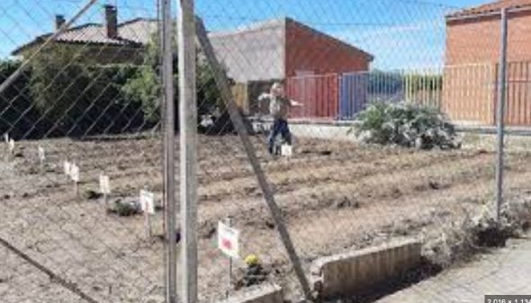 De la Tierra a la Mesa: El Huerto Escolar Sostenible de Ntra. Sra. del Carmen en Cuevas del Almanzor