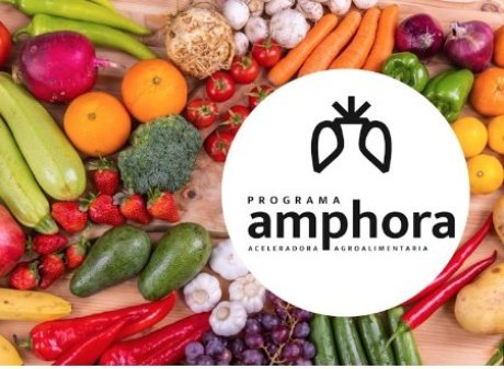 Programa Amphora: Impulsando la Innovación Sostenible en el Sector Agroalimentario