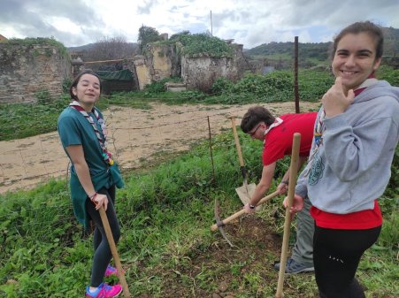 Raíces para el Futuro: Scouts Plantando Vida