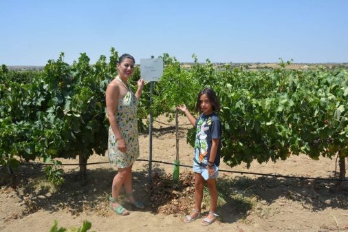 Plantación de 1000 arbolitos de azufaifo en Extremadura. Sostenibilidad y apadrinamiento. 