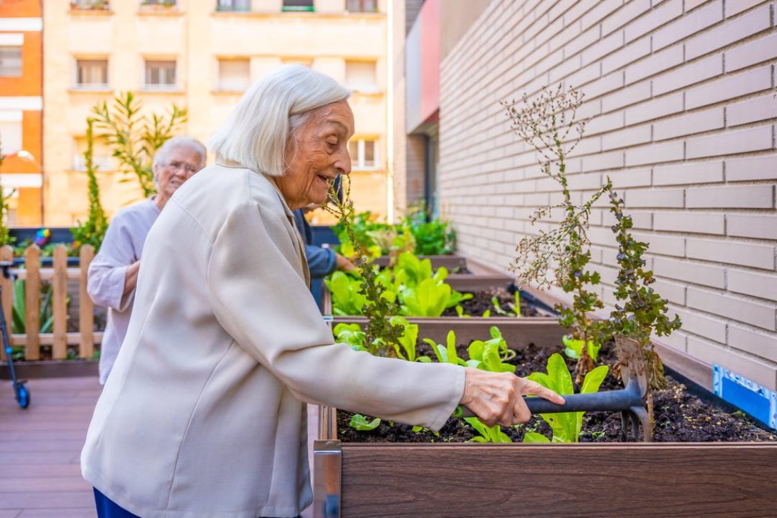 «Guerrilla Gardening»: un movimiento popular por la vida y la biodiversidad