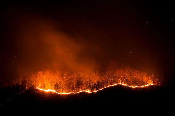 Qué es la deforestación, causas, consecuencias y soluciones