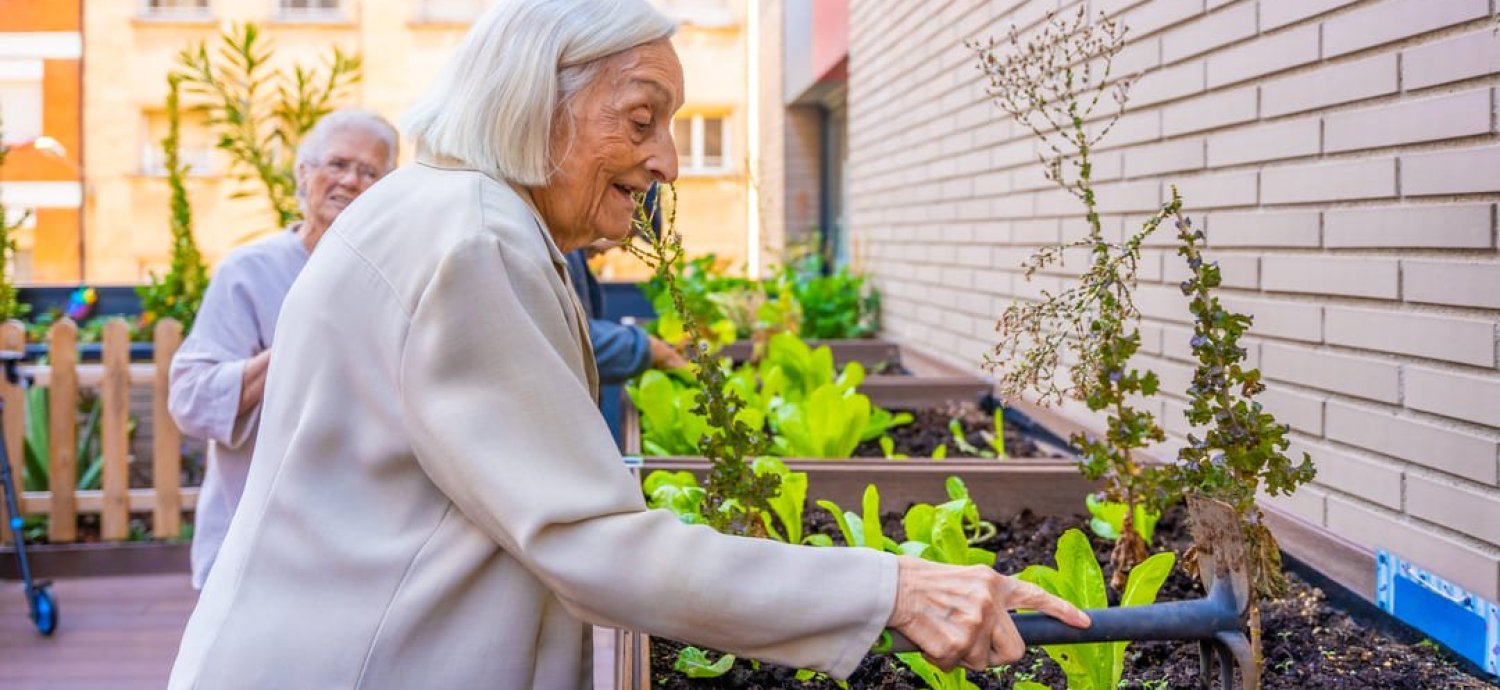 «Guerrilla Gardening»: un movimiento popular por la vida y la biodiversidad