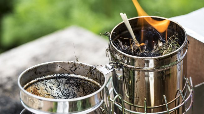 Biochar: el carbón vegetal que atrapa CO2 y regenera la tierra