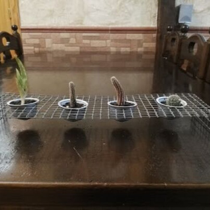 Guía online de reutilización y reciclaje