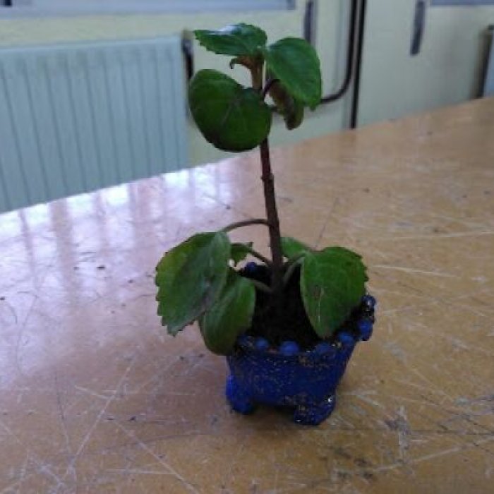 Guía online de reutilización y reciclaje